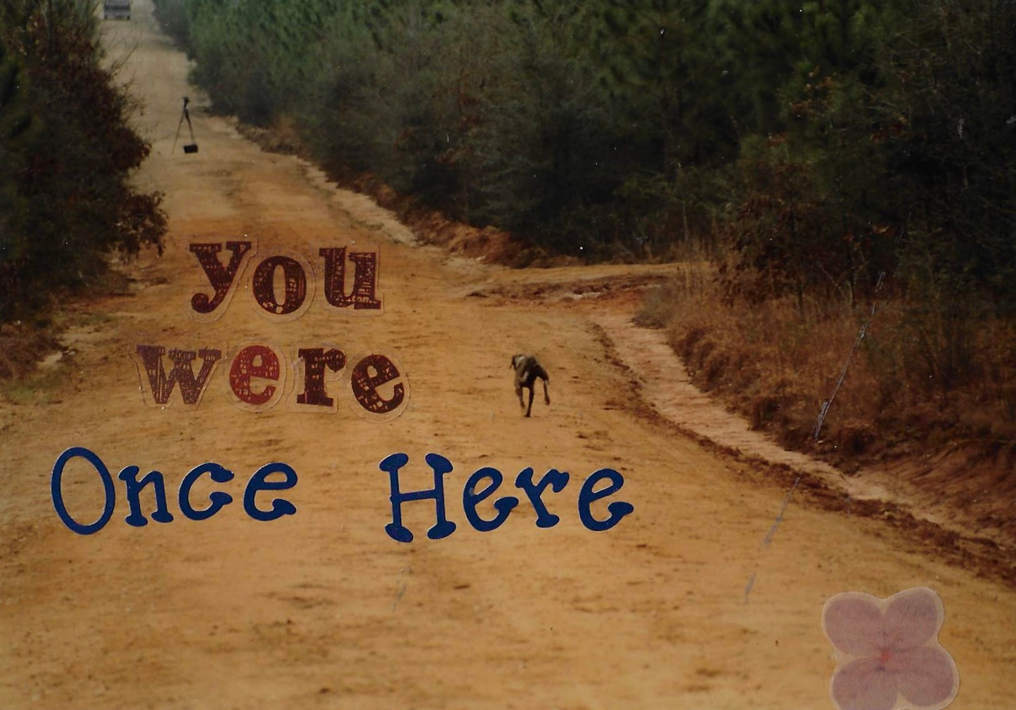 "It Didn't Start With You" original lyric video collages