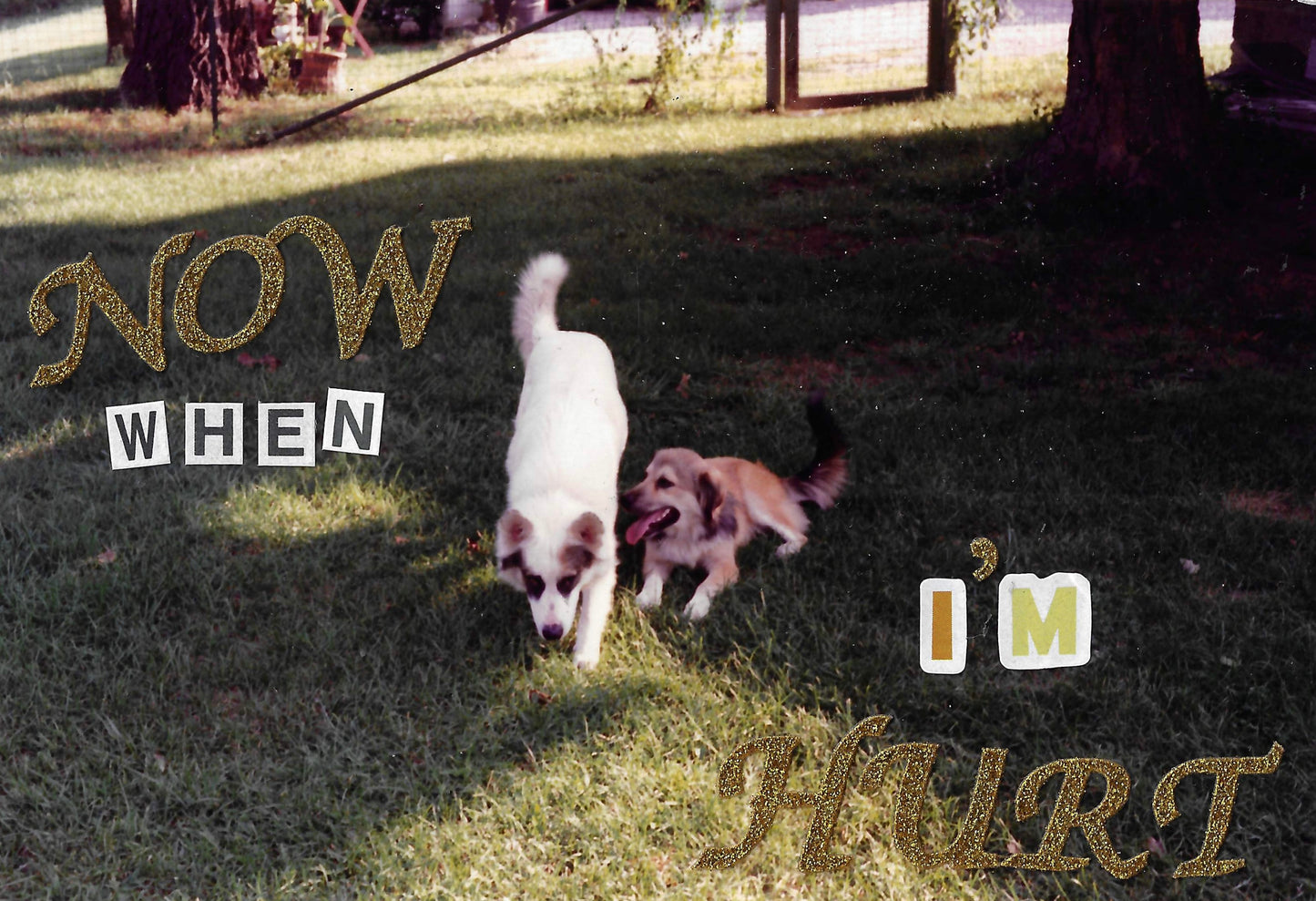 "It Didn't Start With You" original lyric video collages